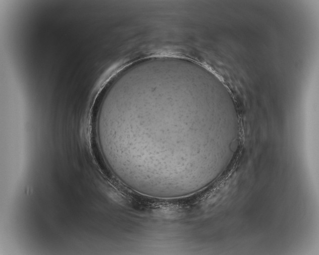 X0000116330199200912091046