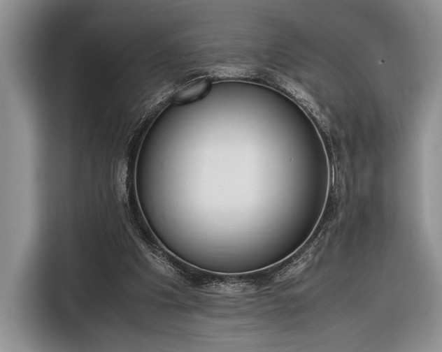 X0000116330201200912091046