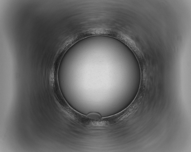 X0000116330202200912091046