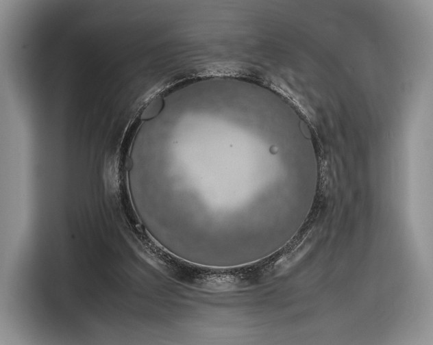 X0000116330203200912091046