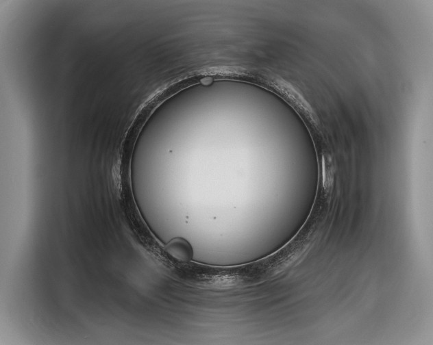 X0000116330204200912091046