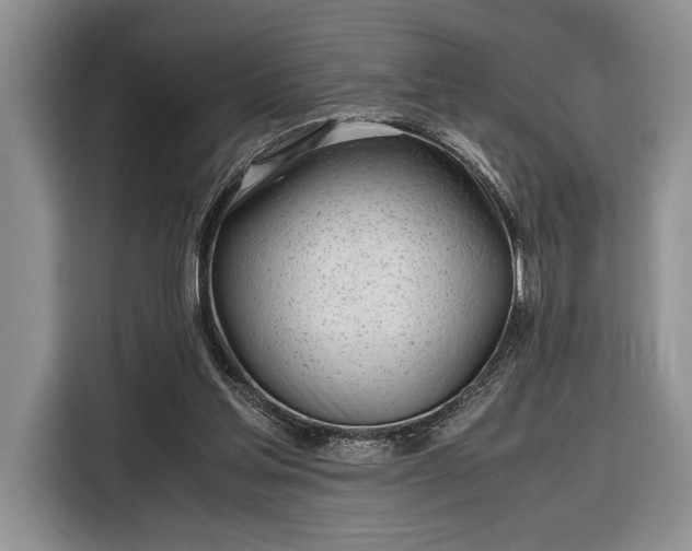 X0000116330205200912091046