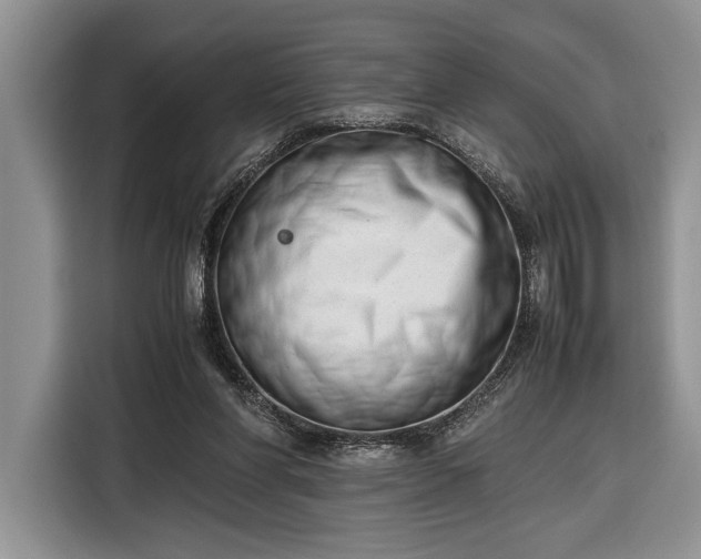 X0000116330206200912091046