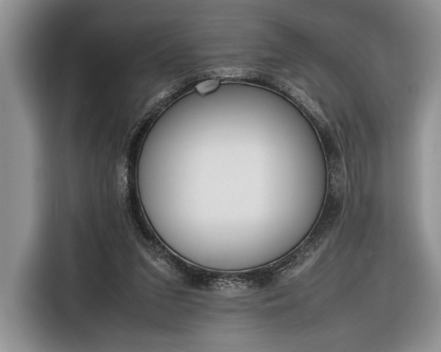 X0000116330207200912091046