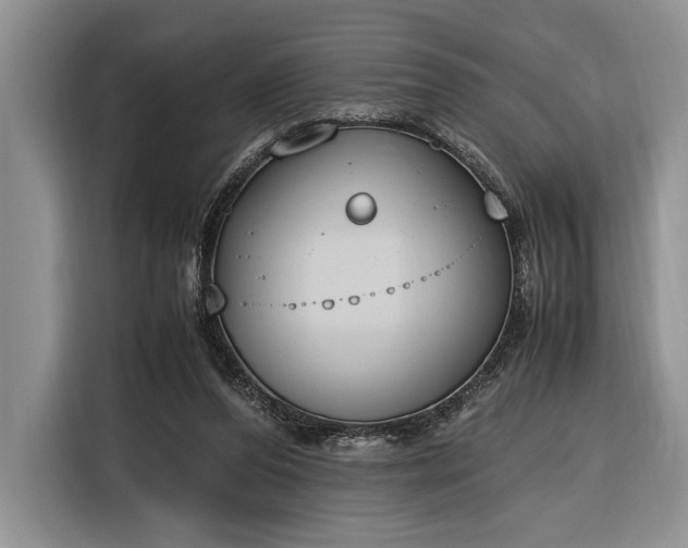 X0000116330208200912091046