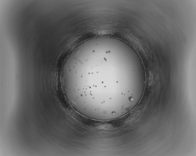 X0000116330210200912091046