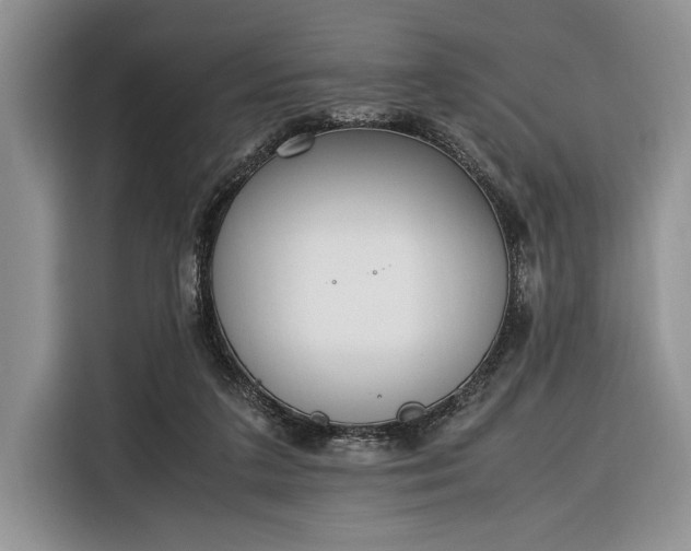X0000116330211200912091046