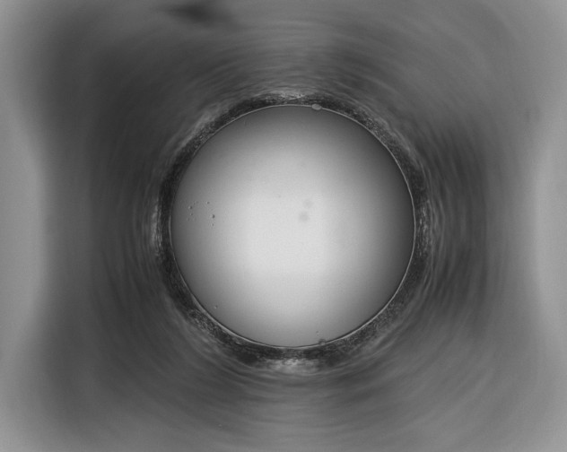 X0000116330212200912091046