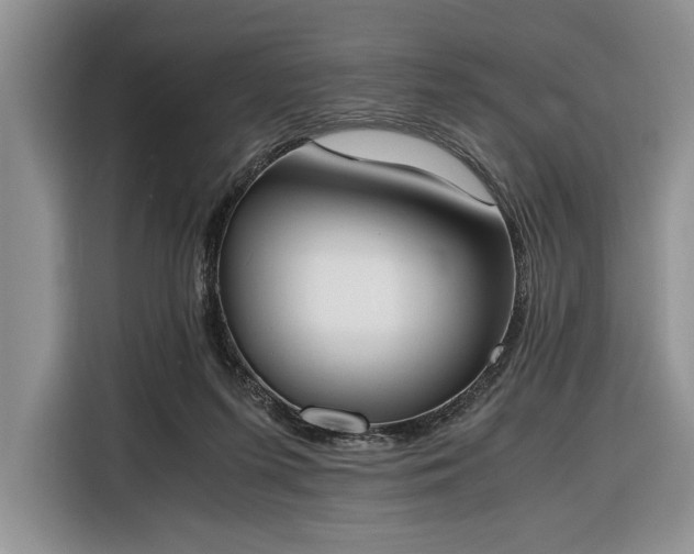 X0000116330215200912091046