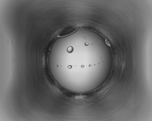 X0000116330216200912091046