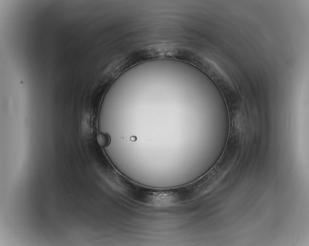 X0000116330218200912091046