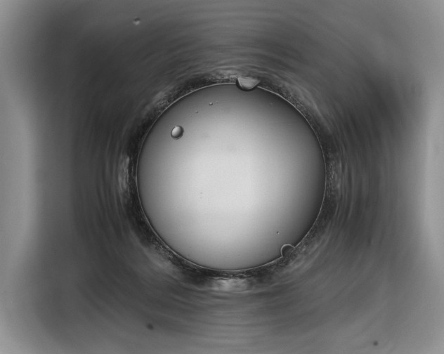 X0000116330220200912091046