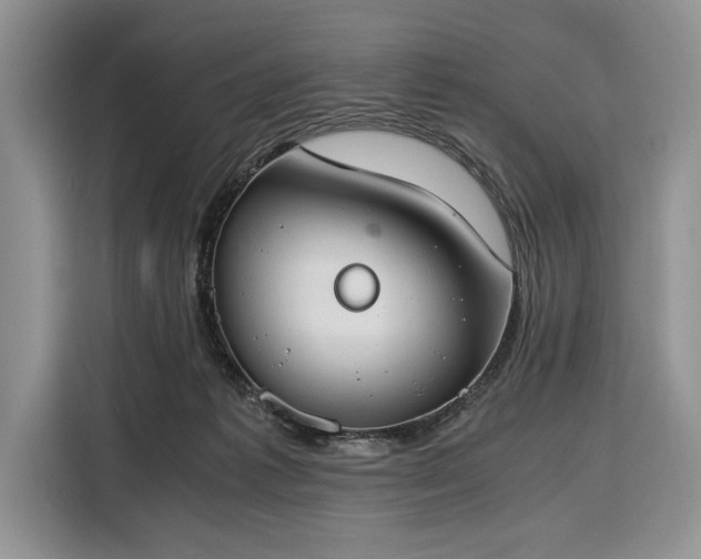 X0000116330221200912091045