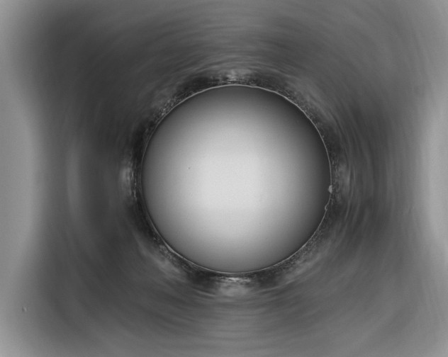 X0000116330222200912091045
