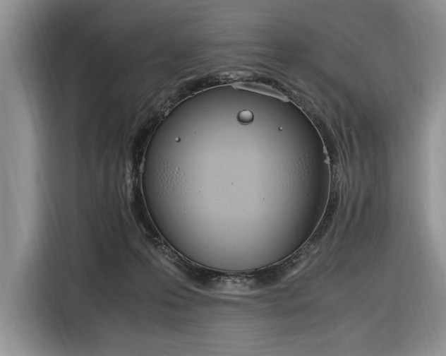 X0000116330223200912091045