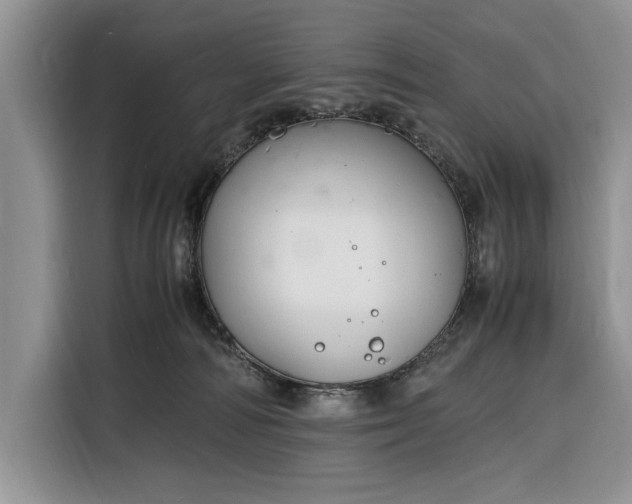X0000116330226200912091045