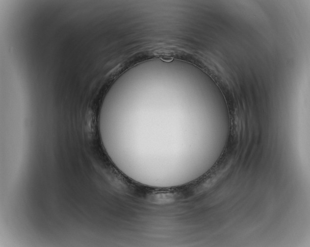 X0000116330228200912091045