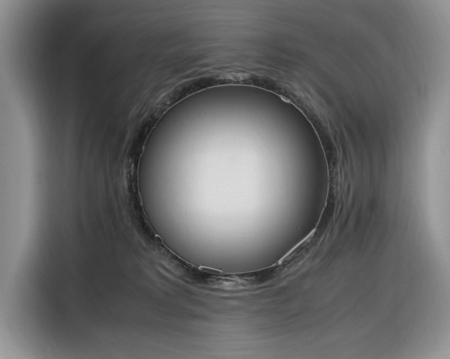 X0000116330229200912091045