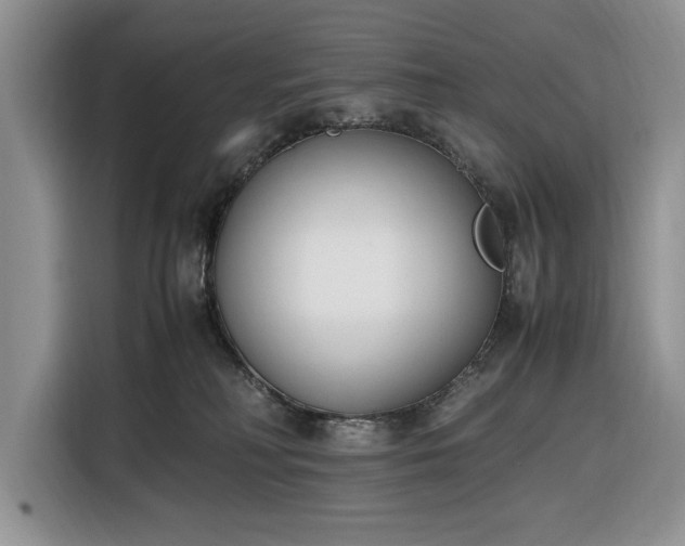 X0000116330230200912091045