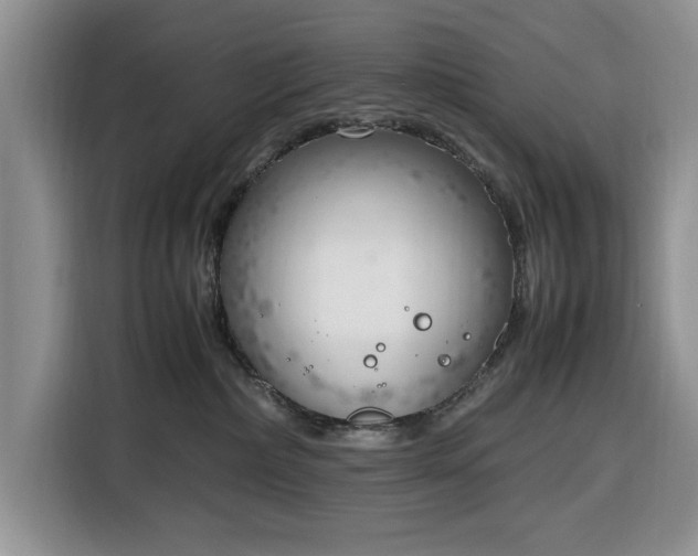 X0000116330236200912091045
