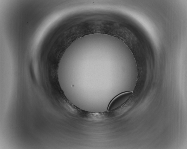 X0000116330239200912091045