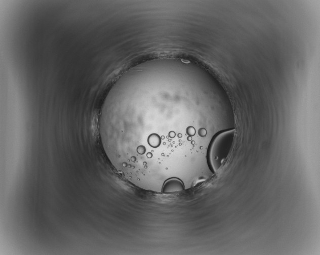 X0000116330240200912091045