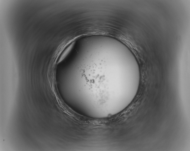X0000116330241200912091045