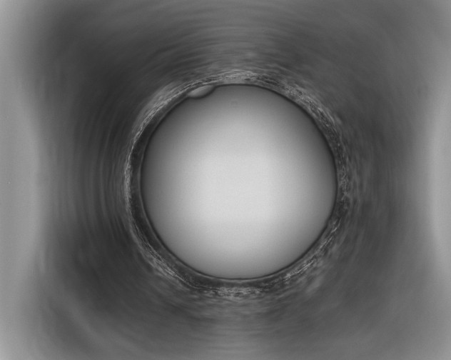 X0000116330242200912091045