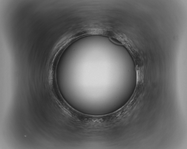 X0000116330243200912091045