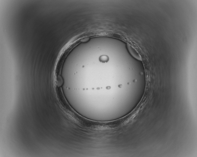 X0000116330246200912091045
