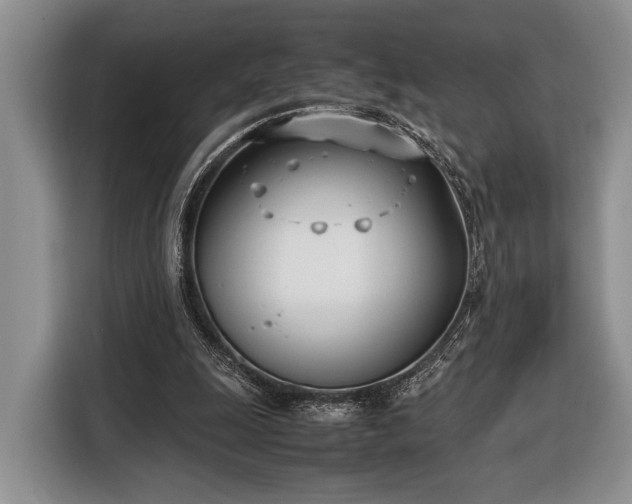 X0000116330247200912091045