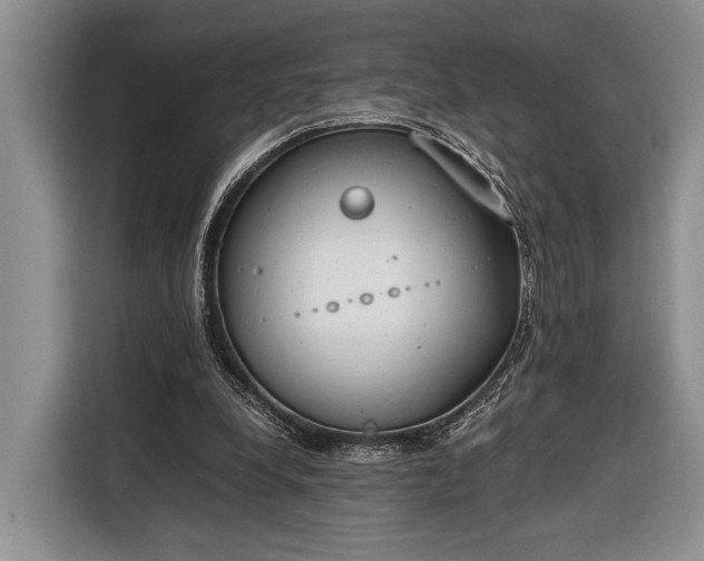 X0000116330248200912091045