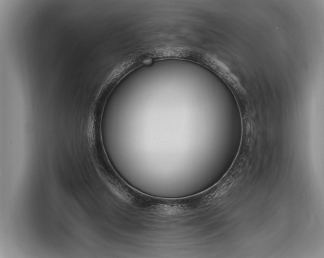 X0000116330250200912091045