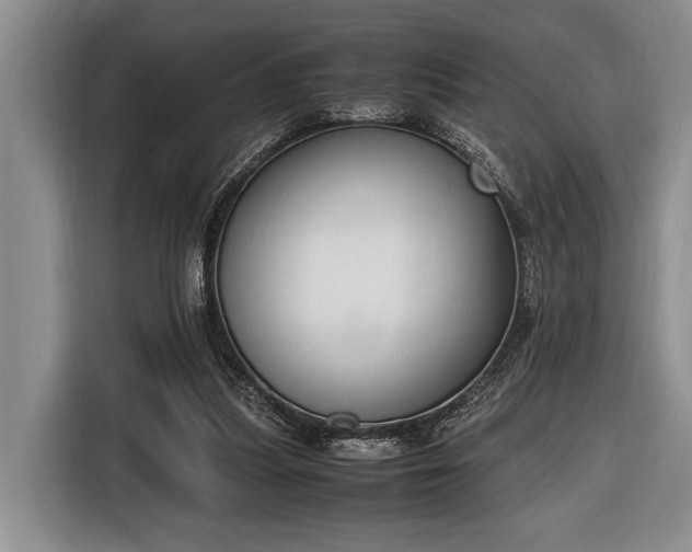 X0000116330251200912091045