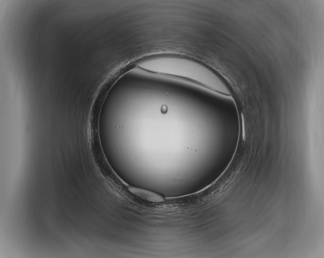 X0000116330252200912091045
