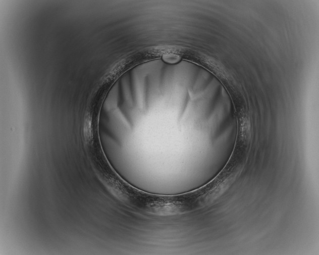 X0000116330254200912091045