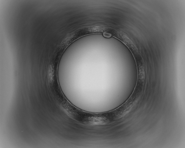 X0000116330255200912091045