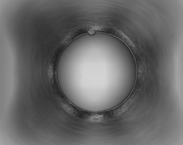 X0000116330257200912091045