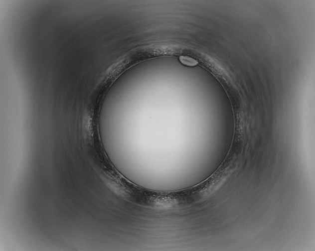 X0000116330258200912091045