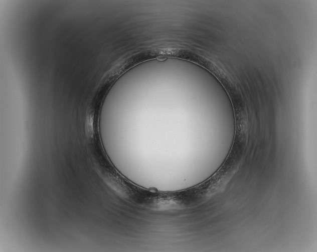 X0000116330262200912091045