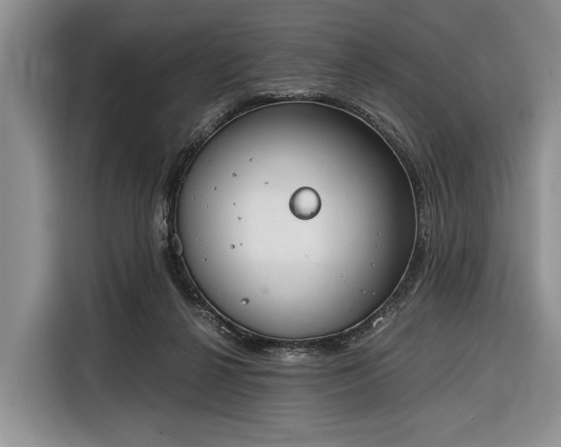 X0000116330264200912091045