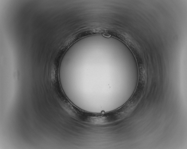 X0000116330266200912091045