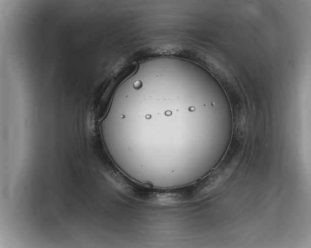 X0000116330268200912091045