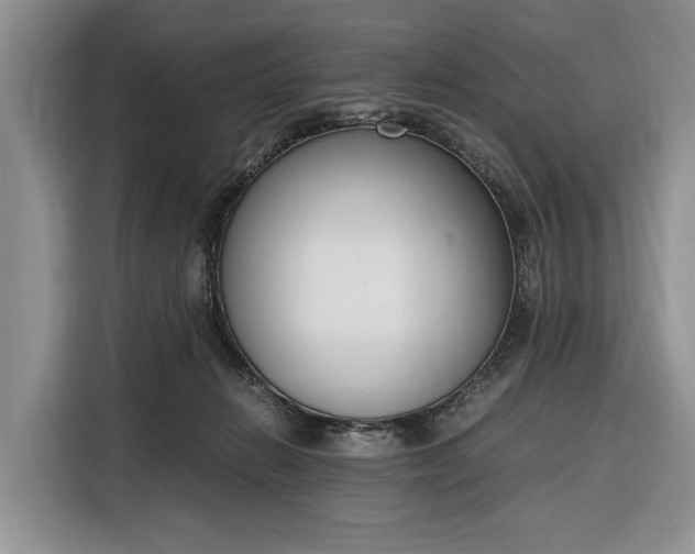 X0000116330270200912091045