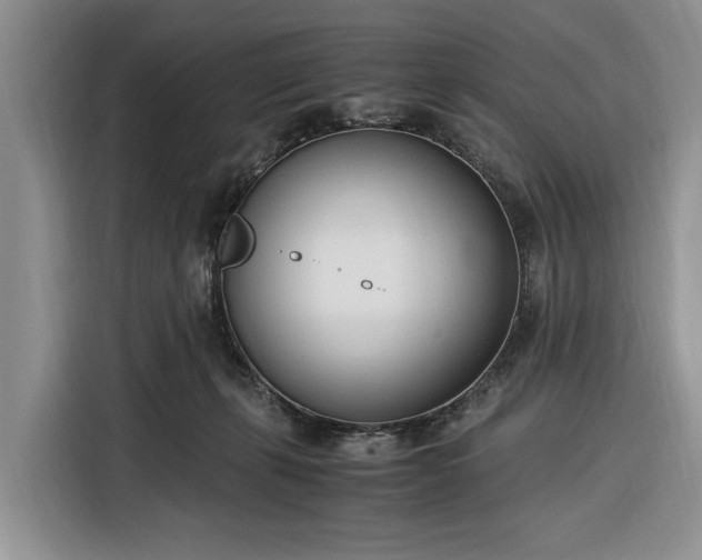X0000116330271200912091045
