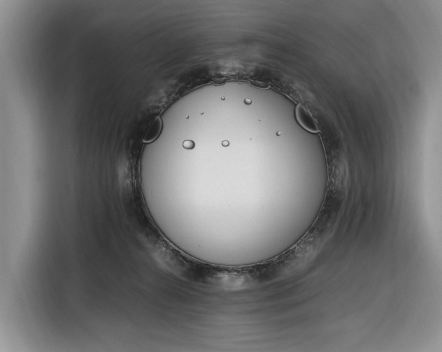 X0000116330272200912091045