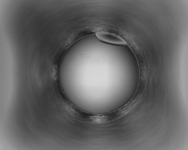 X0000116330273200912091045