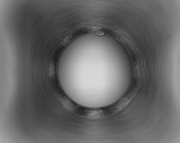 X0000116330274200912091045