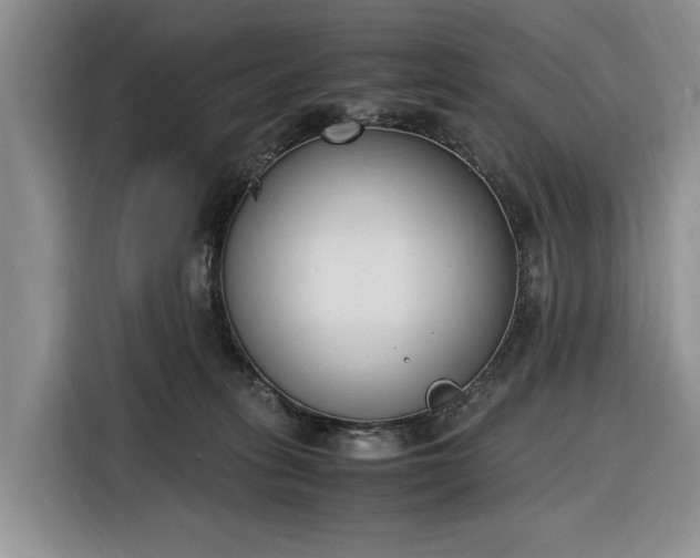 X0000116330275200912091045
