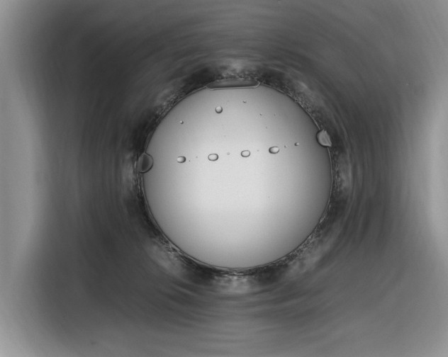 X0000116330276200912091045